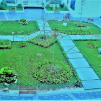 Nguyễn Song Thuỷ Trúc Ueh Nvl Trúc Nguyễn