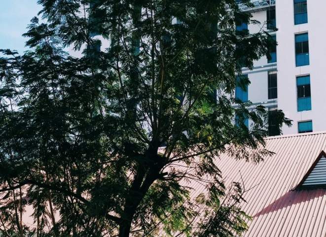 B1, B2 Hang Nguyen Thi Xuan