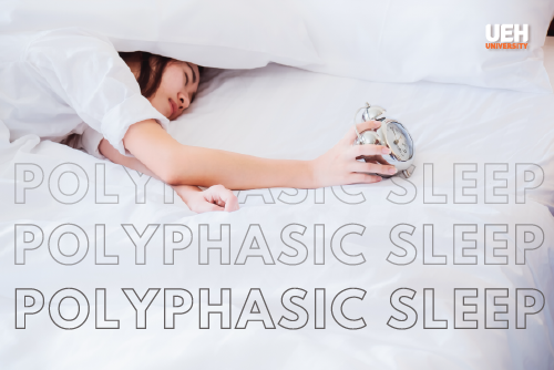 Polyphasic Sleep – Phương pháp ngủ nhiều giấc giúp tiết kiệm thời gian ...
